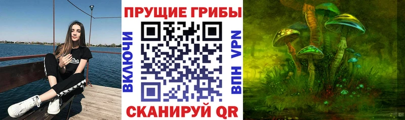 Галлюциногенные грибы Cubensis  Хадыженск 